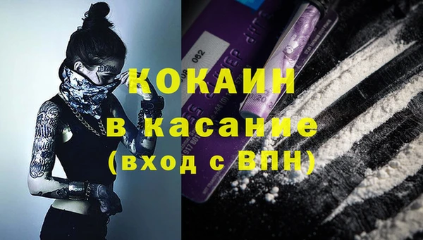 гашик Михайловск