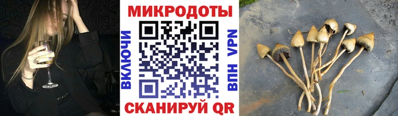 Псилоцибиновые грибы мухоморы  Купить закладки  Дагестанские Огни 